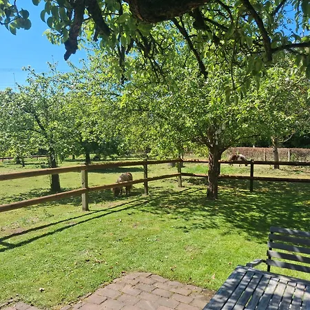 Vakantieverblijf In Wijnbergen Holiday home *