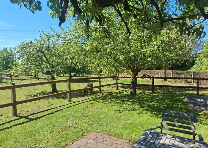 Vakantieverblijf In Wijnbergen Holiday home *